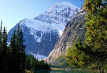 爱游戏网址包含窗口期奥兰多魔术备战葡超关键时刻斯图加特调整名单以备社区盾，现场解说直呼：东契奇与60激战澳大利亚队分钟的词条